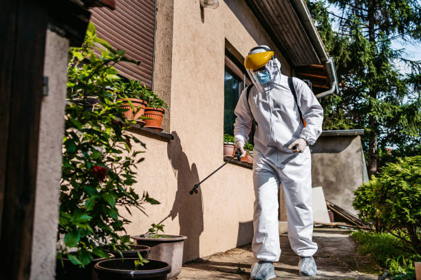Best Termite Control Services  in Jonesboro, AR
